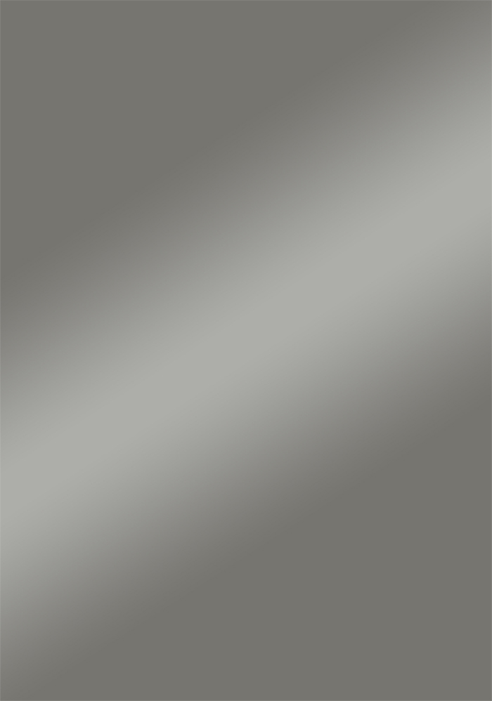 C901 steel gray